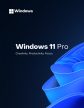 Windows 11 Pro Key - GGKeys