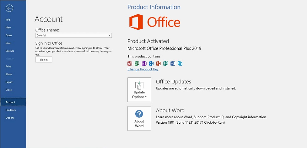 Office 2019 Activation